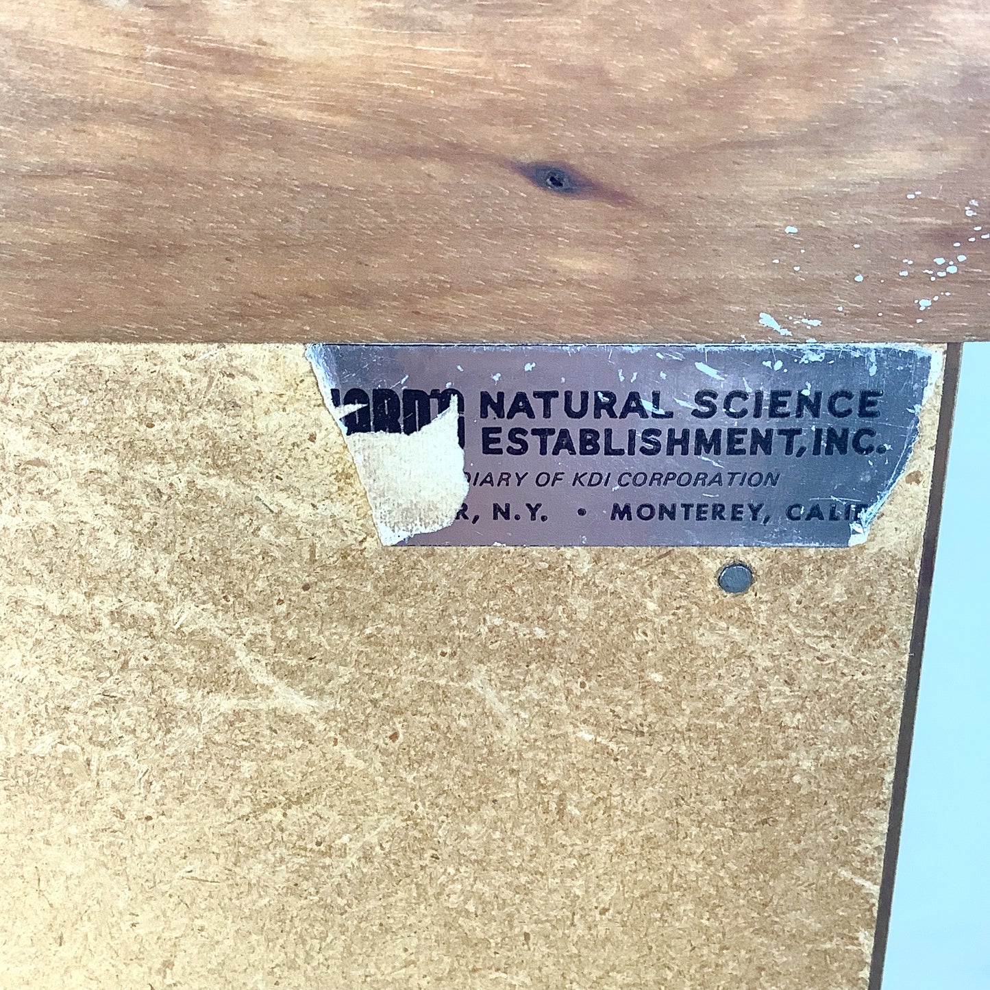 Ten-Drawer Museum Specimen Cabinet | Butcher Block Top | Felt-Lined Drawers