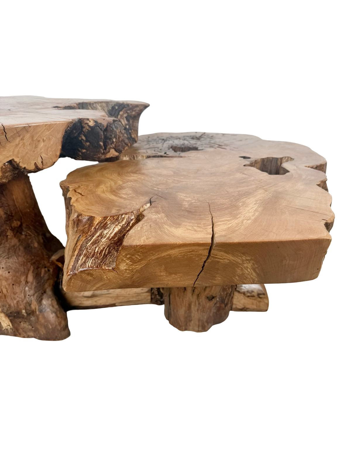 Vintage Two-Tier Live Edge Wood Coffee Table with Sculptural Trunk Base
