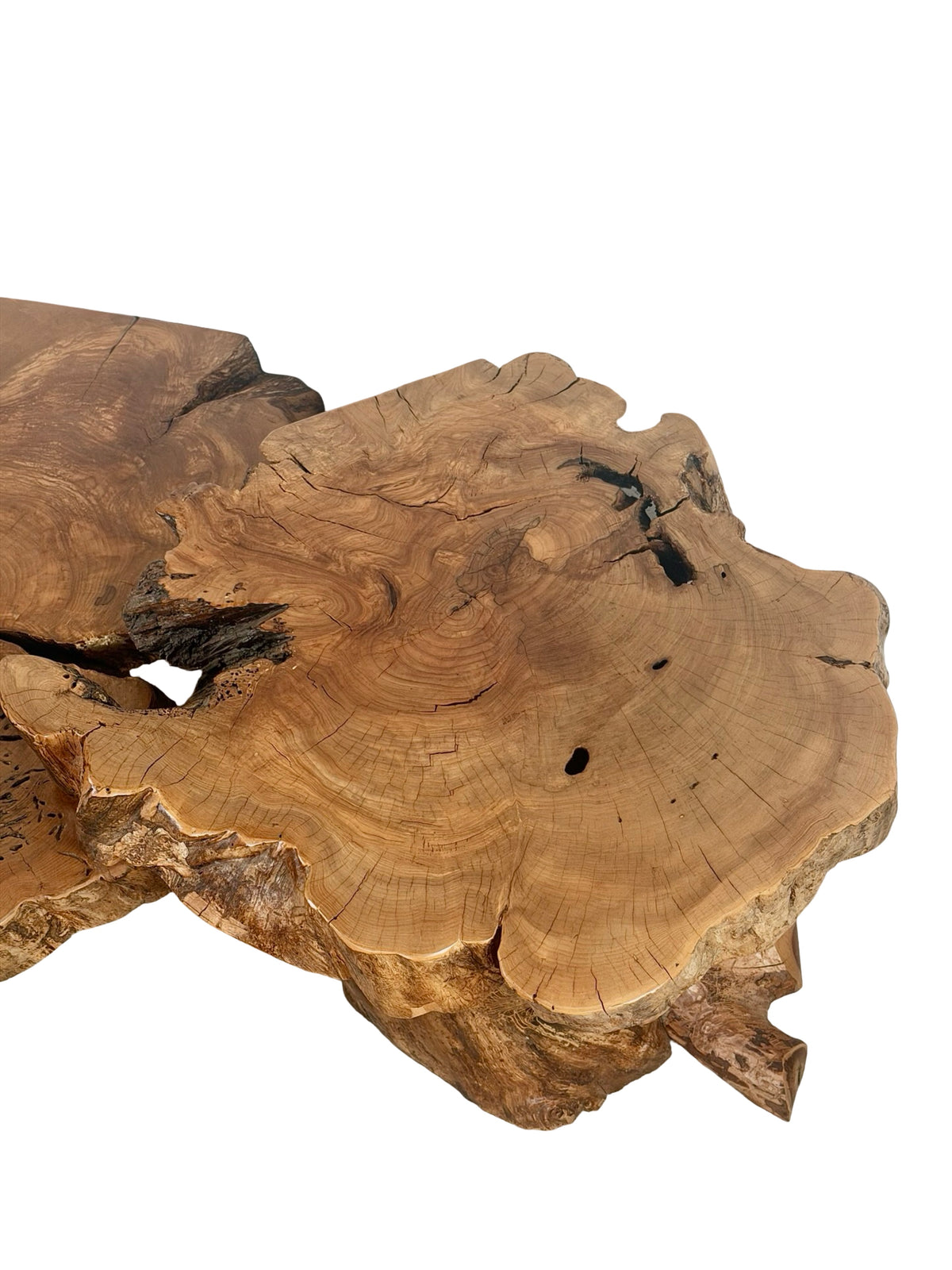 Vintage Two-Tier Live Edge Wood Coffee Table with Sculptural Trunk Base