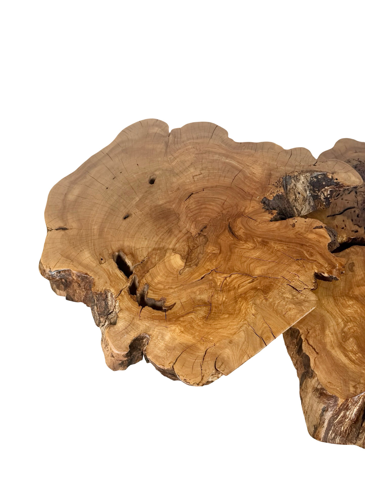 Vintage Two-Tier Live Edge Wood Coffee Table with Sculptural Trunk Base