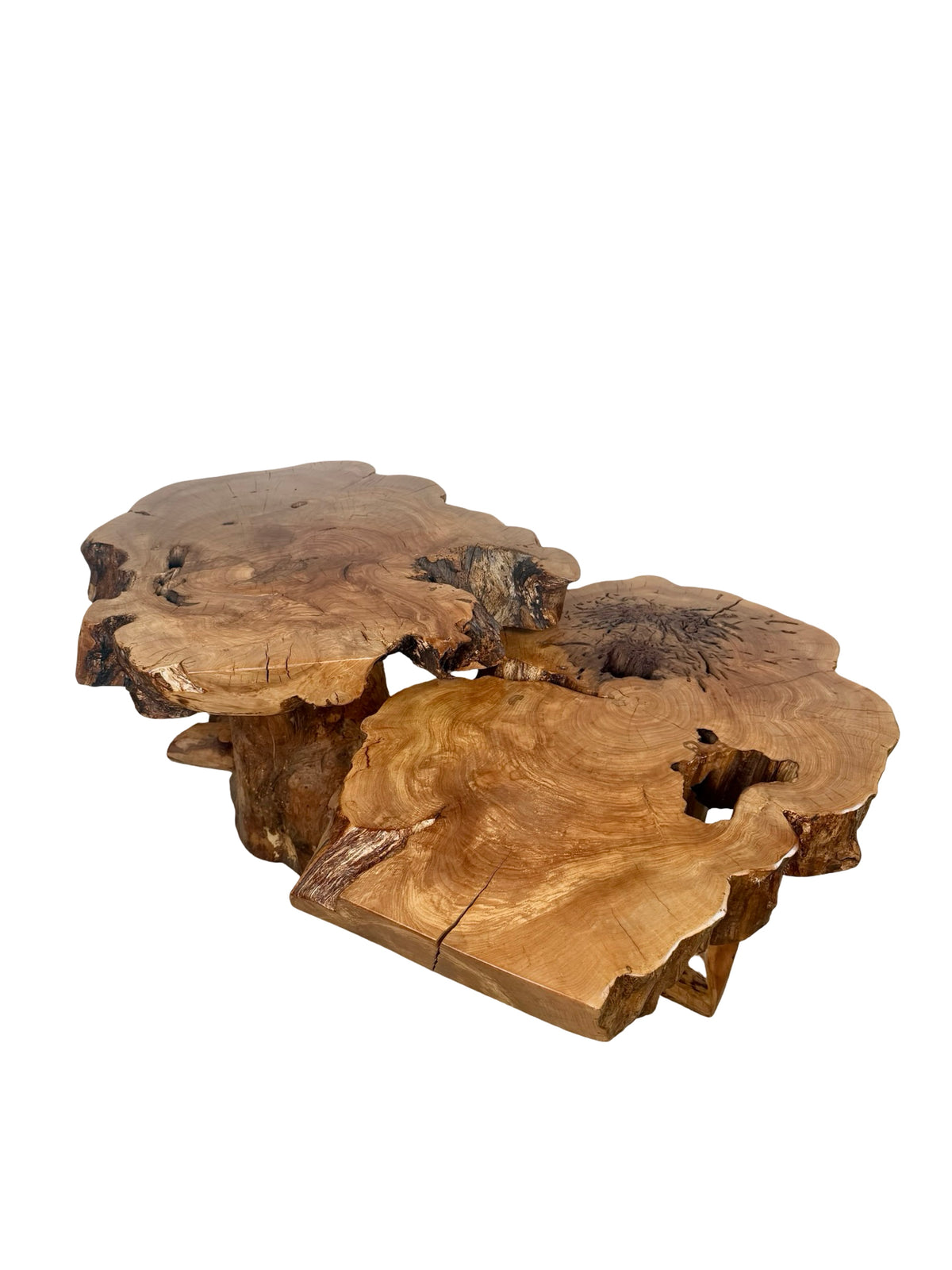 Vintage Two-Tier Live Edge Wood Coffee Table with Sculptural Trunk Base