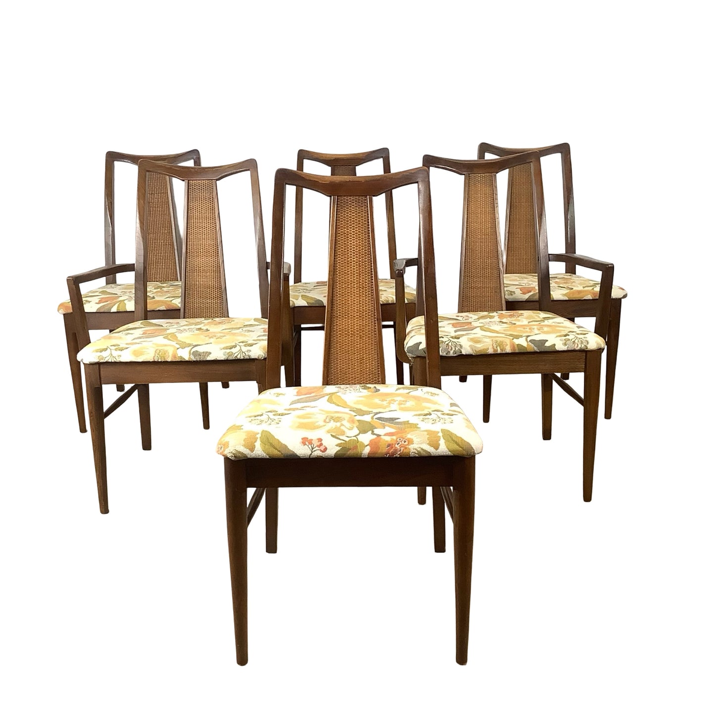 Vintage Mid-Century Modern Walnut & Cane Dining Chairs - Set of 6