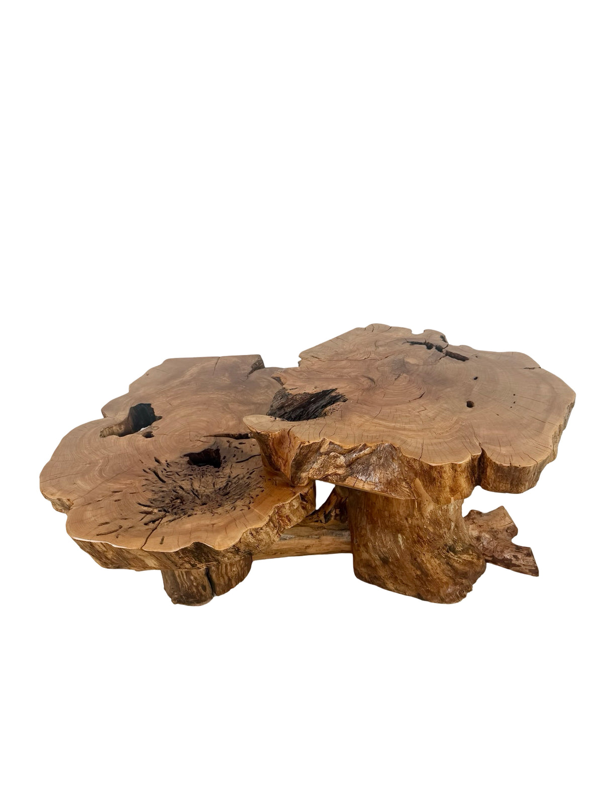 Vintage Two-Tier Live Edge Wood Coffee Table with Sculptural Trunk Base