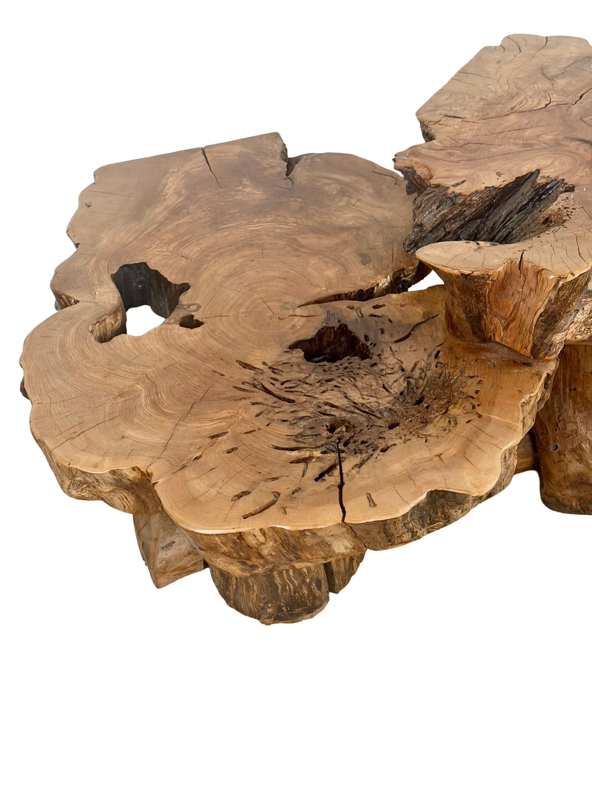 Vintage Two-Tier Live Edge Wood Coffee Table with Sculptural Trunk Base