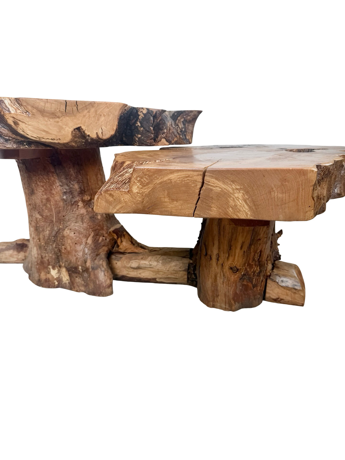 Vintage Two-Tier Live Edge Wood Coffee Table with Sculptural Trunk Base
