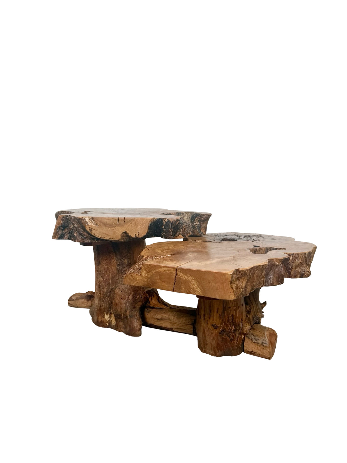 Vintage Two-Tier Live Edge Wood Coffee Table with Sculptural Trunk Base