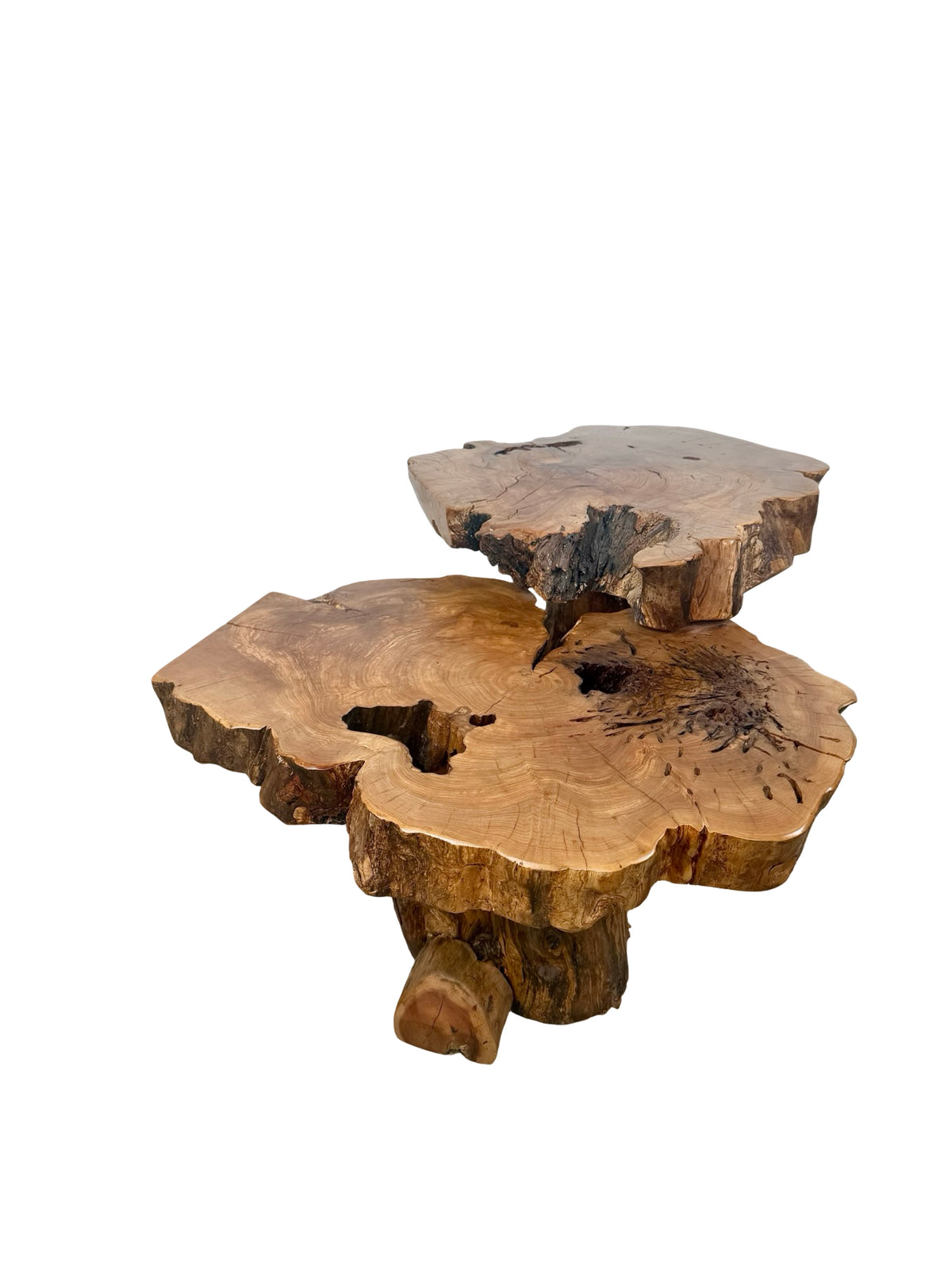 Vintage Two-Tier Live Edge Wood Coffee Table with Sculptural Trunk Base