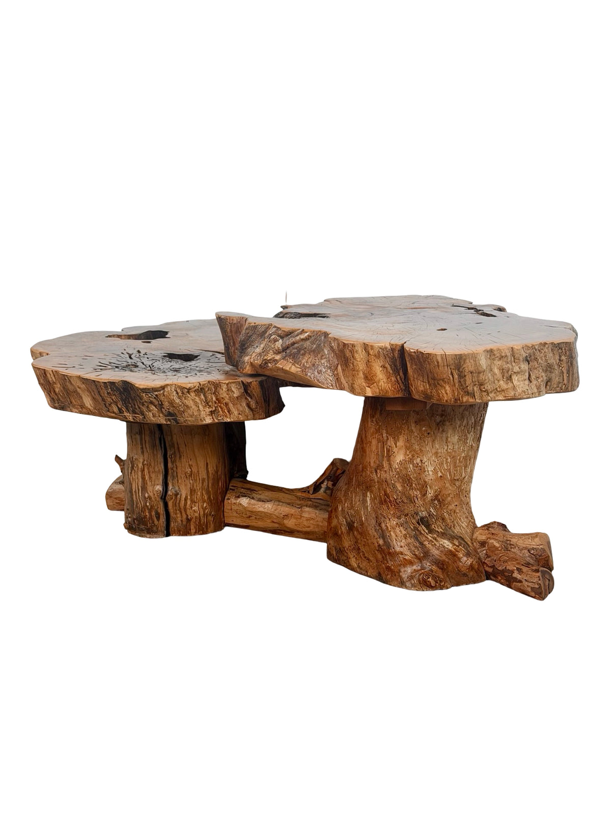 Vintage Two-Tier Live Edge Wood Coffee Table with Sculptural Trunk Base