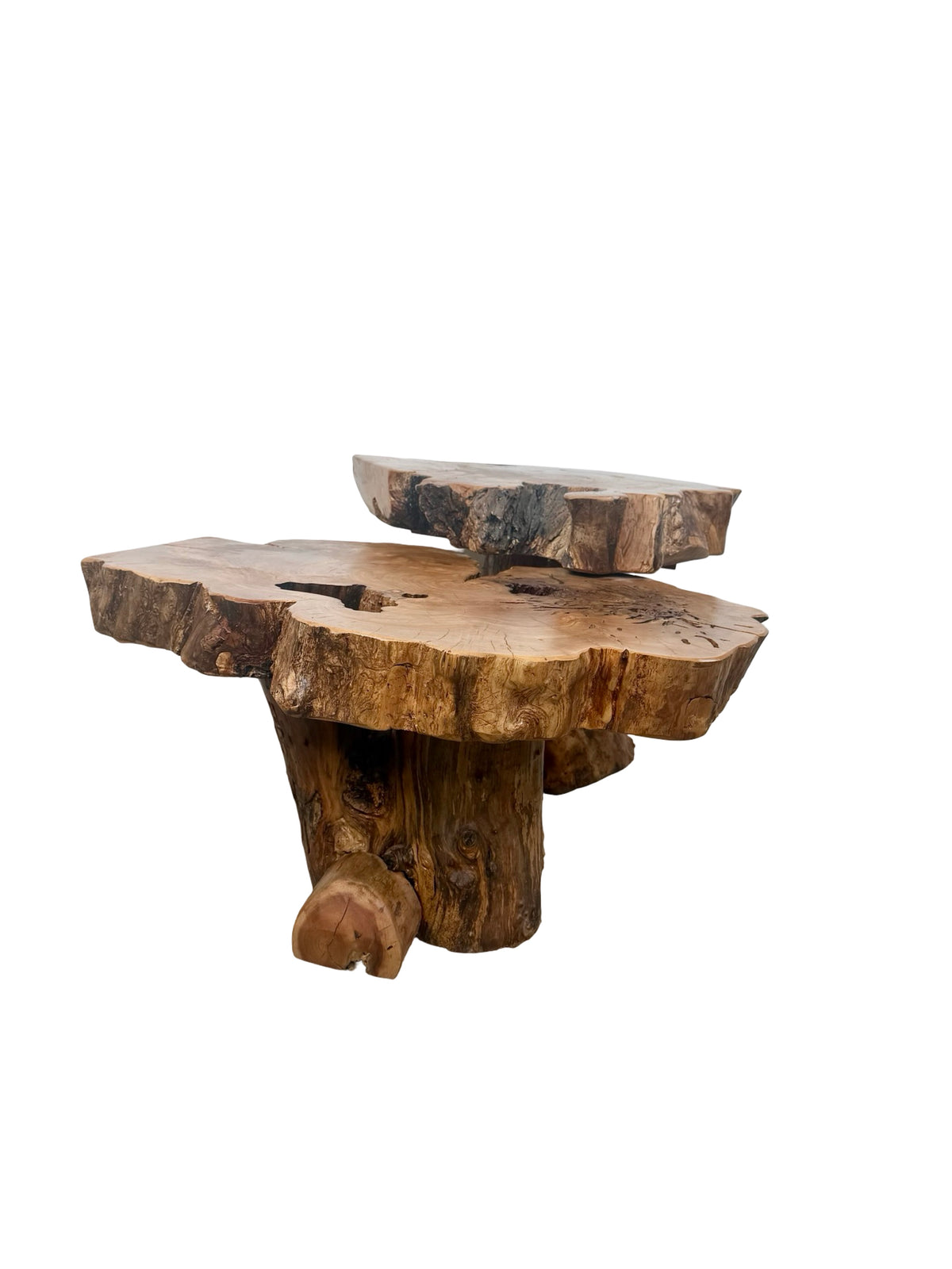 Vintage Two-Tier Live Edge Wood Coffee Table with Sculptural Trunk Base