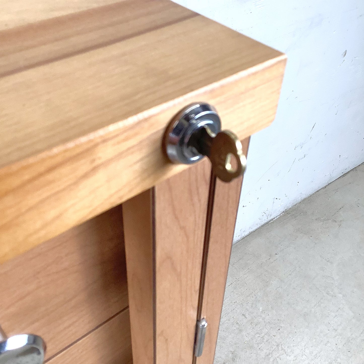 Ten-Drawer Museum Specimen Cabinet | Butcher Block Top | Felt-Lined Drawers