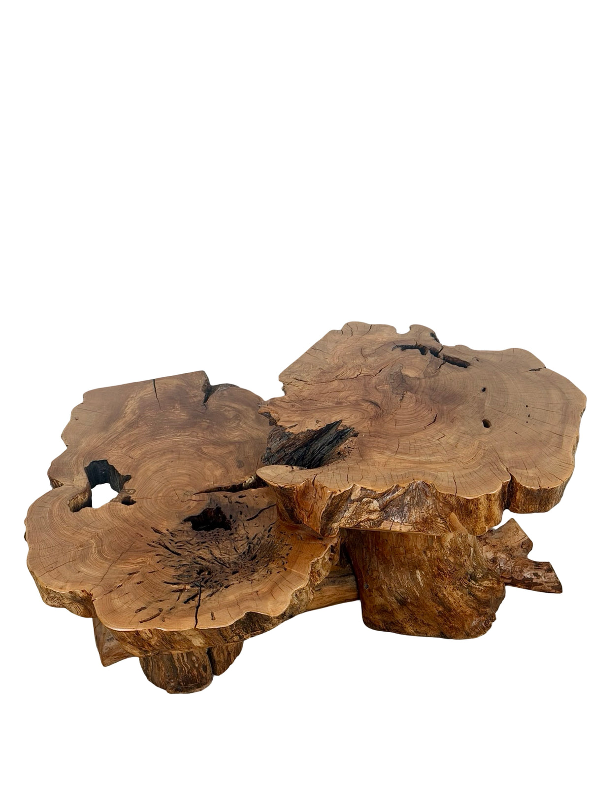 Vintage Two-Tier Live Edge Wood Coffee Table with Sculptural Trunk Base