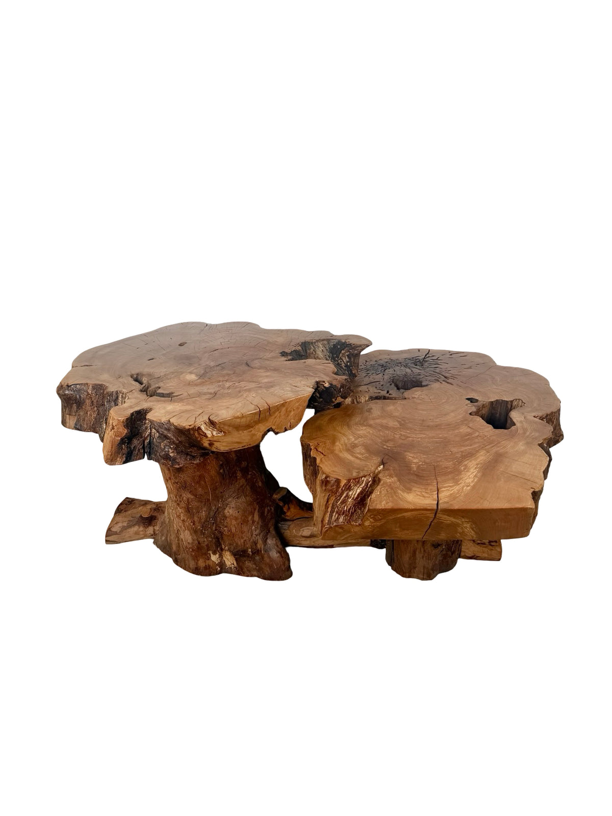Vintage Two-Tier Live Edge Wood Coffee Table with Sculptural Trunk Base