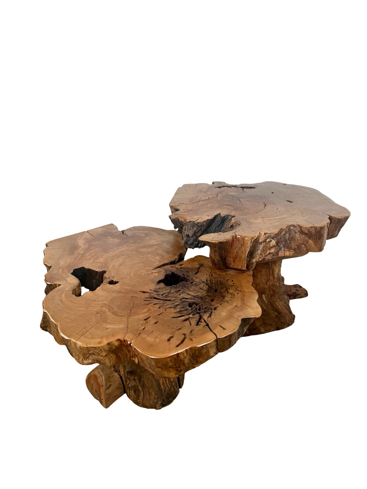 Vintage Two-Tier Live Edge Wood Coffee Table with Sculptural Trunk Base