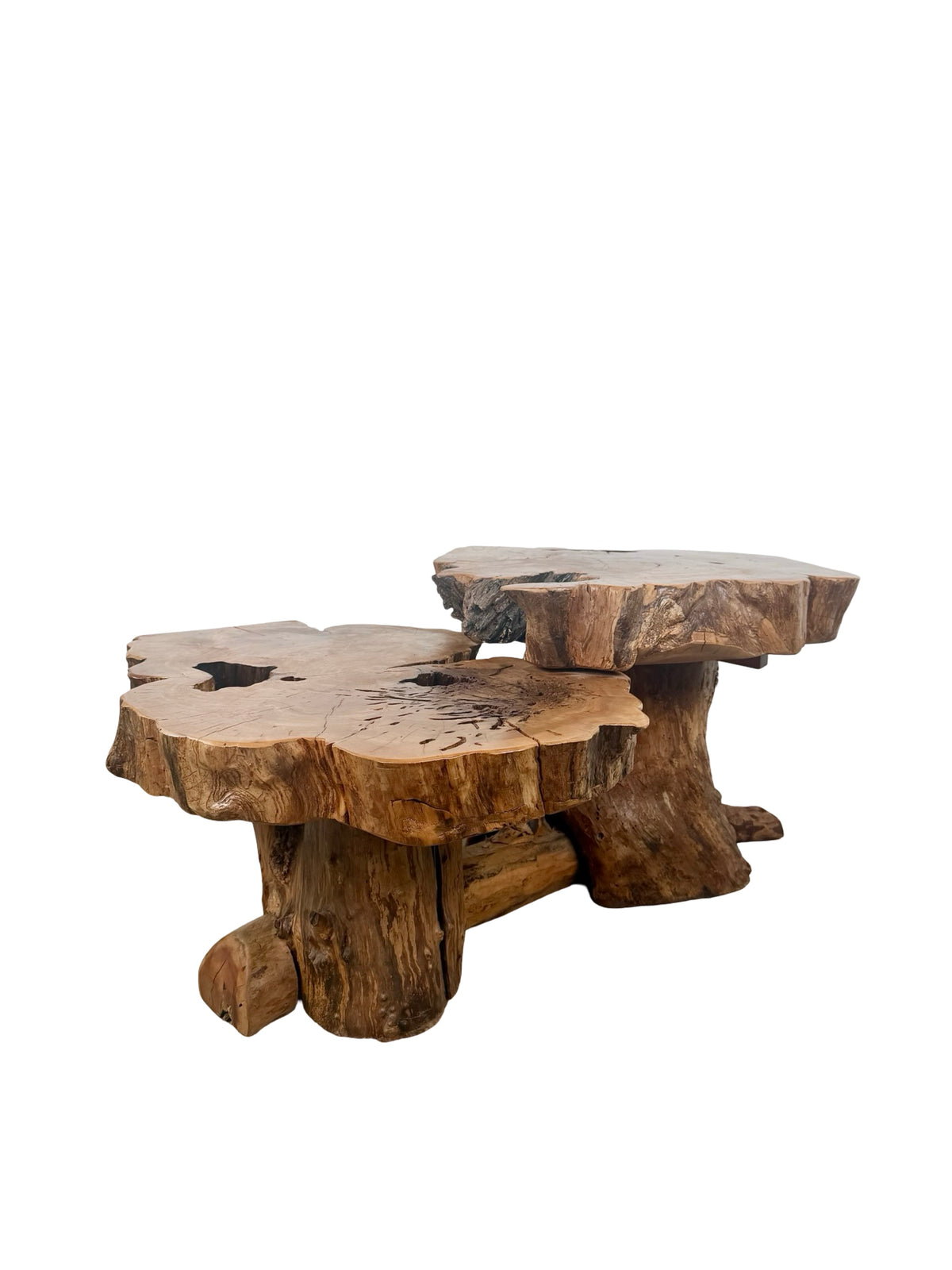 Vintage Two-Tier Live Edge Wood Coffee Table with Sculptural Trunk Base