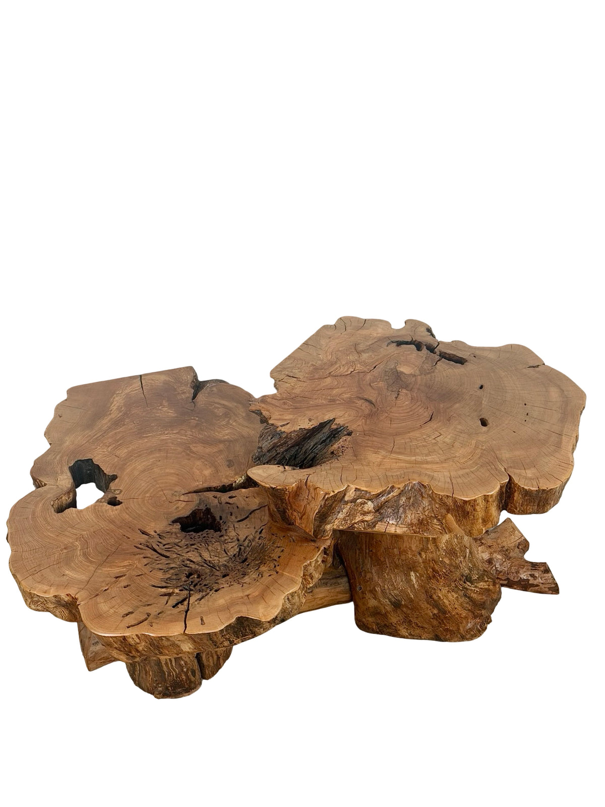 Vintage Two-Tier Live Edge Wood Coffee Table with Sculptural Trunk Base