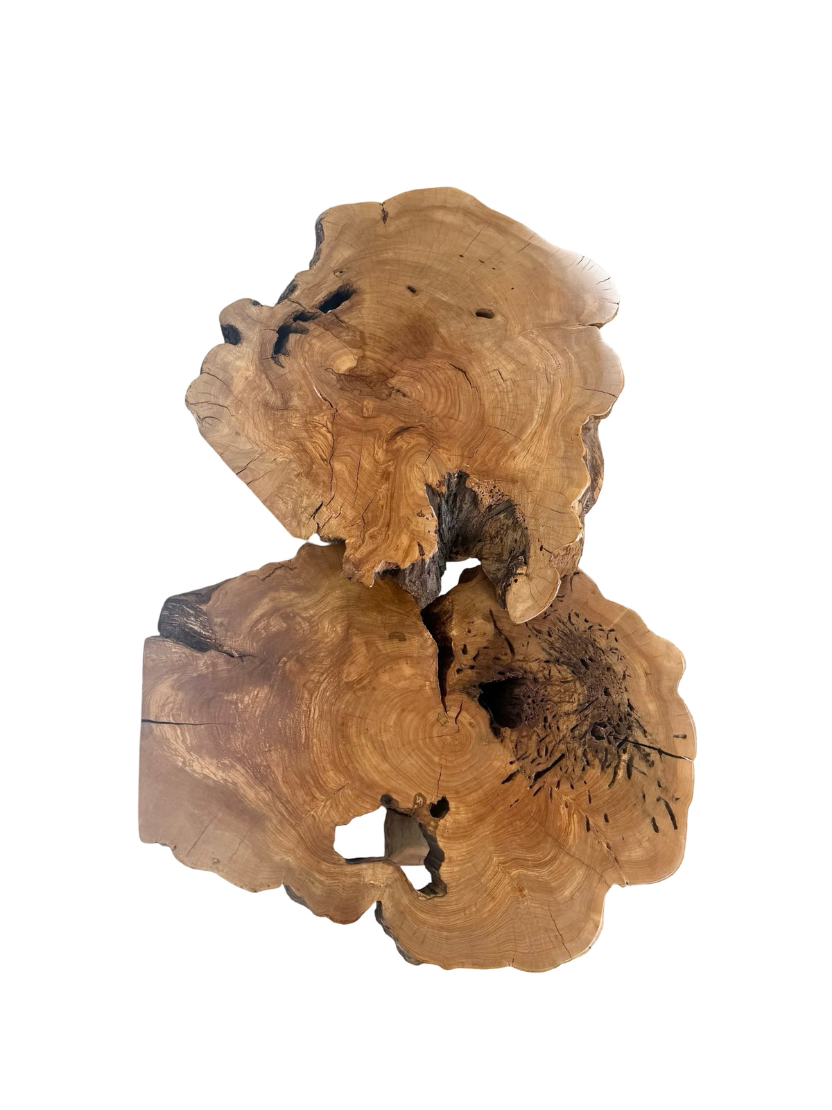 Vintage Two-Tier Live Edge Wood Coffee Table with Sculptural Trunk Base