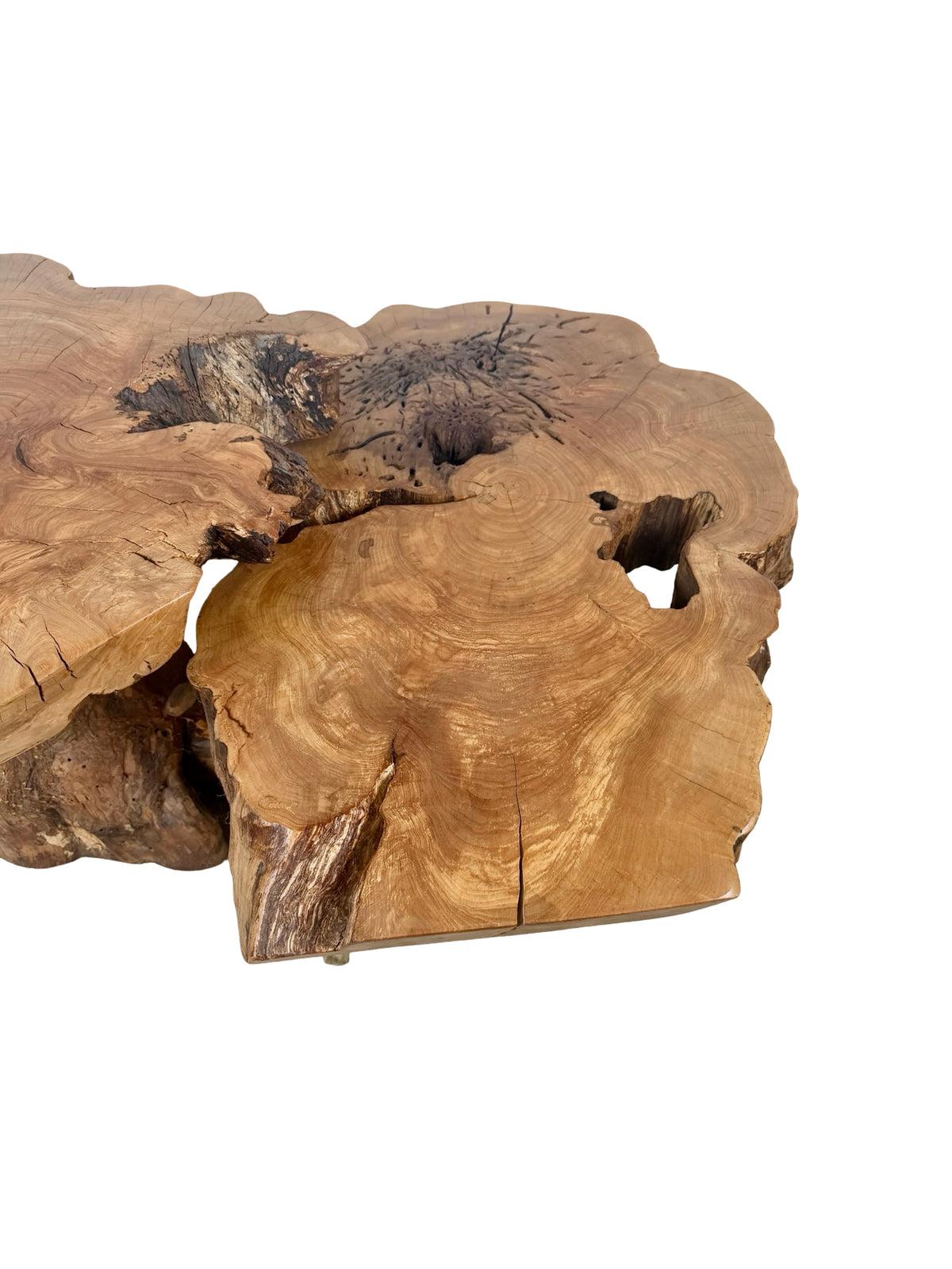 Vintage Two-Tier Live Edge Wood Coffee Table with Sculptural Trunk Base